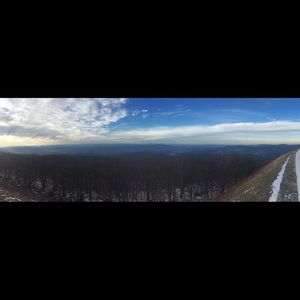 Meet your Posher, Theodore